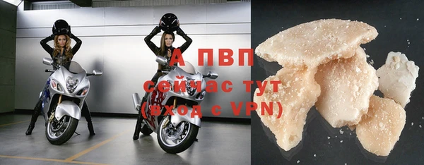 круглые Тайга