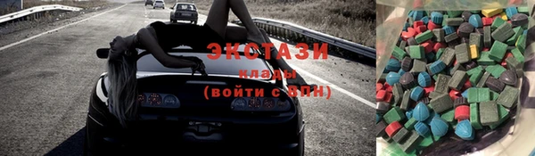 круглые Тайга