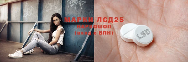 круглые Тайга