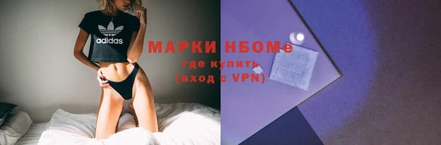 круглые Тайга