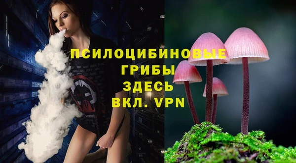 марки lsd Тавда