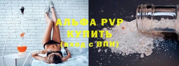 круглые Тайга
